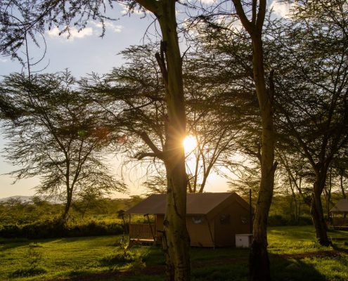 Puesta de sol en el tranquilo y sereno Africa Lake Manyara Lodge