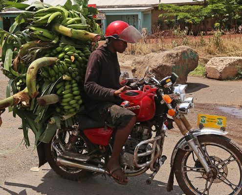 Un motociclista transportando plátanos verdes para cocinar en Mto Wa Mbu- podrá ver la cultura local y la vida del pueblo durante su safari económico de 10 días por Tanzania.