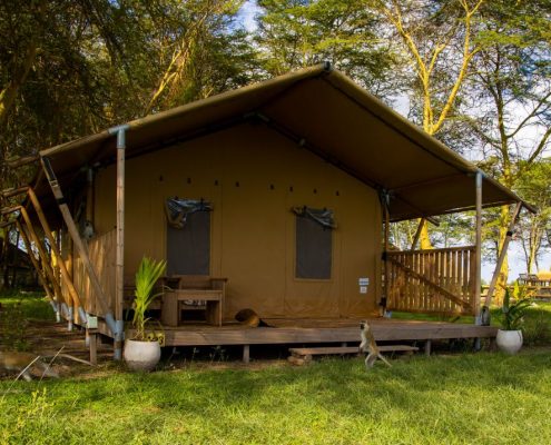 Durante sus 5 días de safari por Tanzania, se alojará en cómodas tiendas de campaña con baño privado. Esta foto es del Africa Safari Lake Manyara Lodge.