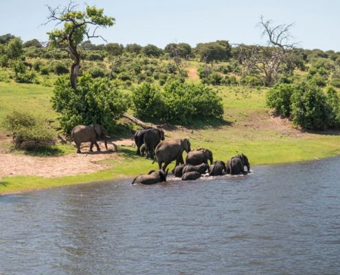 Una familia de elefantes disfruta de las refrescantes aguas del río Tarangire