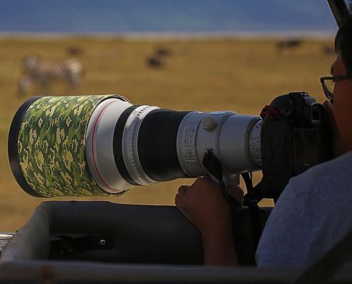Durante su 8 días Lodge Safari Tanzania se puede extender el techo de su camión Safari para obtener excelentes vistas y fotos de los animales salvajes