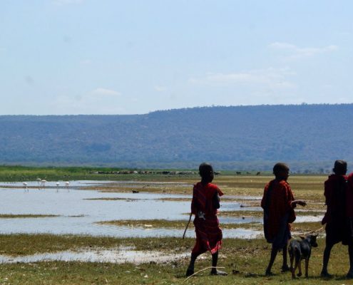 Niños masai escoltan a una pequeña cabra en la zona del lago Natron