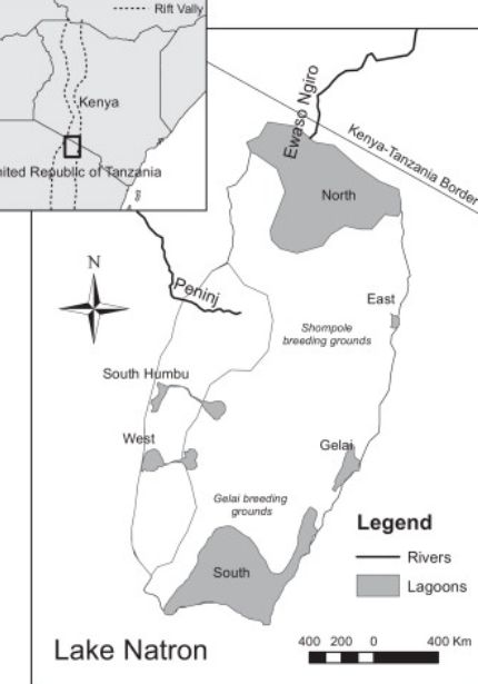 Mapa del lago Natron