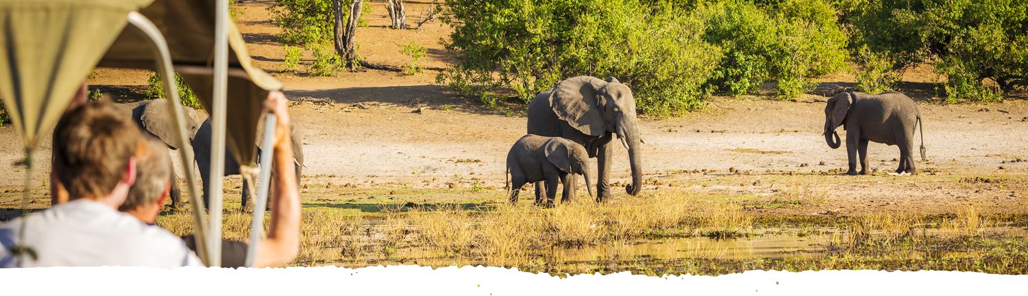 Huéspedes de safari observando elefantes en Tanzania