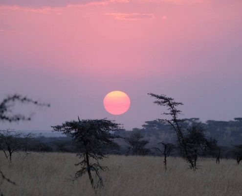 Puesta de sol en el Área de Gestión de Fauna Silvestre de Ikoma